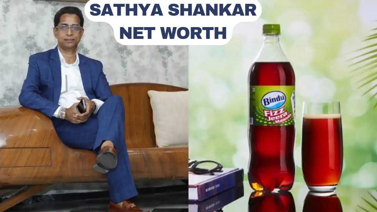 Sathya Shankar Net Worth