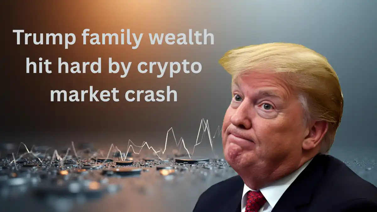 crypto market crash