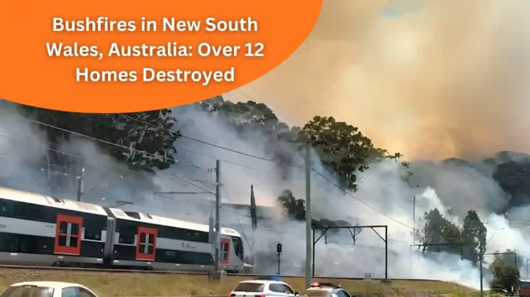 Bushfires in New South Wales, Australia